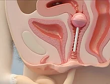 Hentai XXX Porn Videos